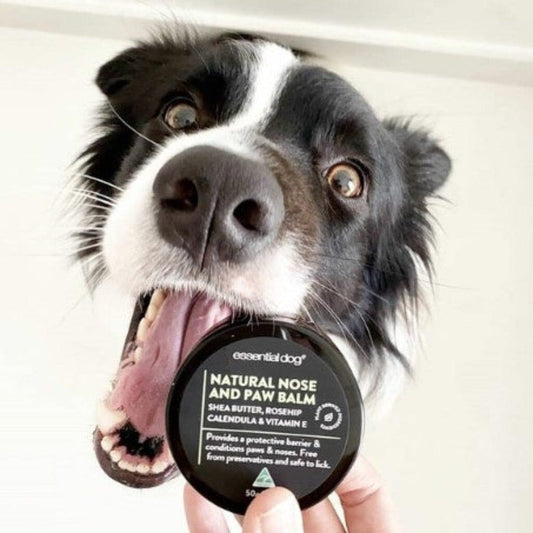 Organic Nose & Paw Balm