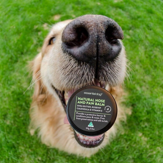 Organic Nose & Paw Balm