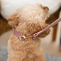 pink-velvet-dog-lead