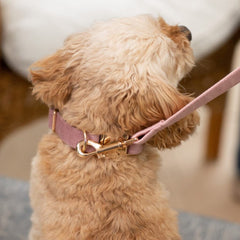 pink-velvet-dog-lead pink-velvet-dog-lead
