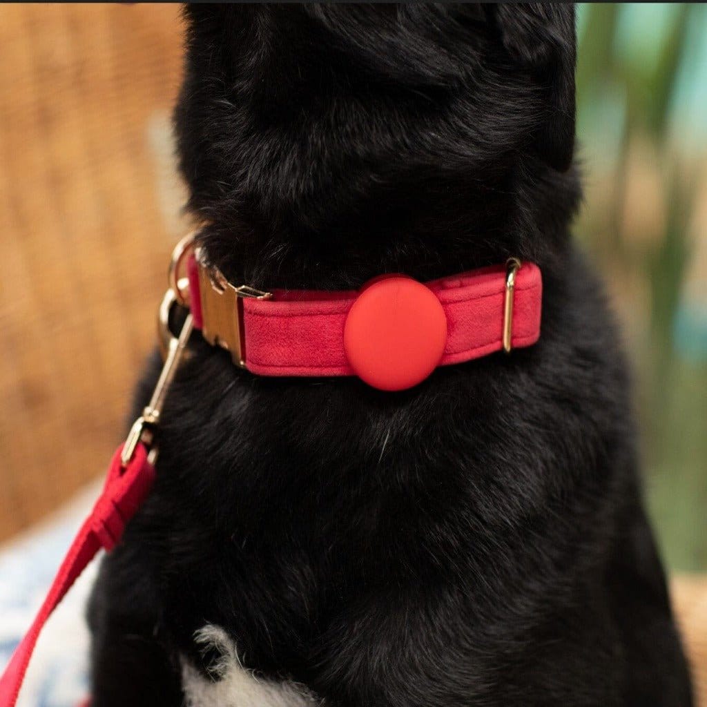 Red and Gold Velvet Dog Collar - Charlie and Piper Gifts for Men Red and Gold Velvet Dog Collar - Charlie and Piper Gifts for Men