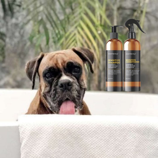 Sensitive Shampoo and Conditioner Duo - Charlie and Piper Gifts for Men