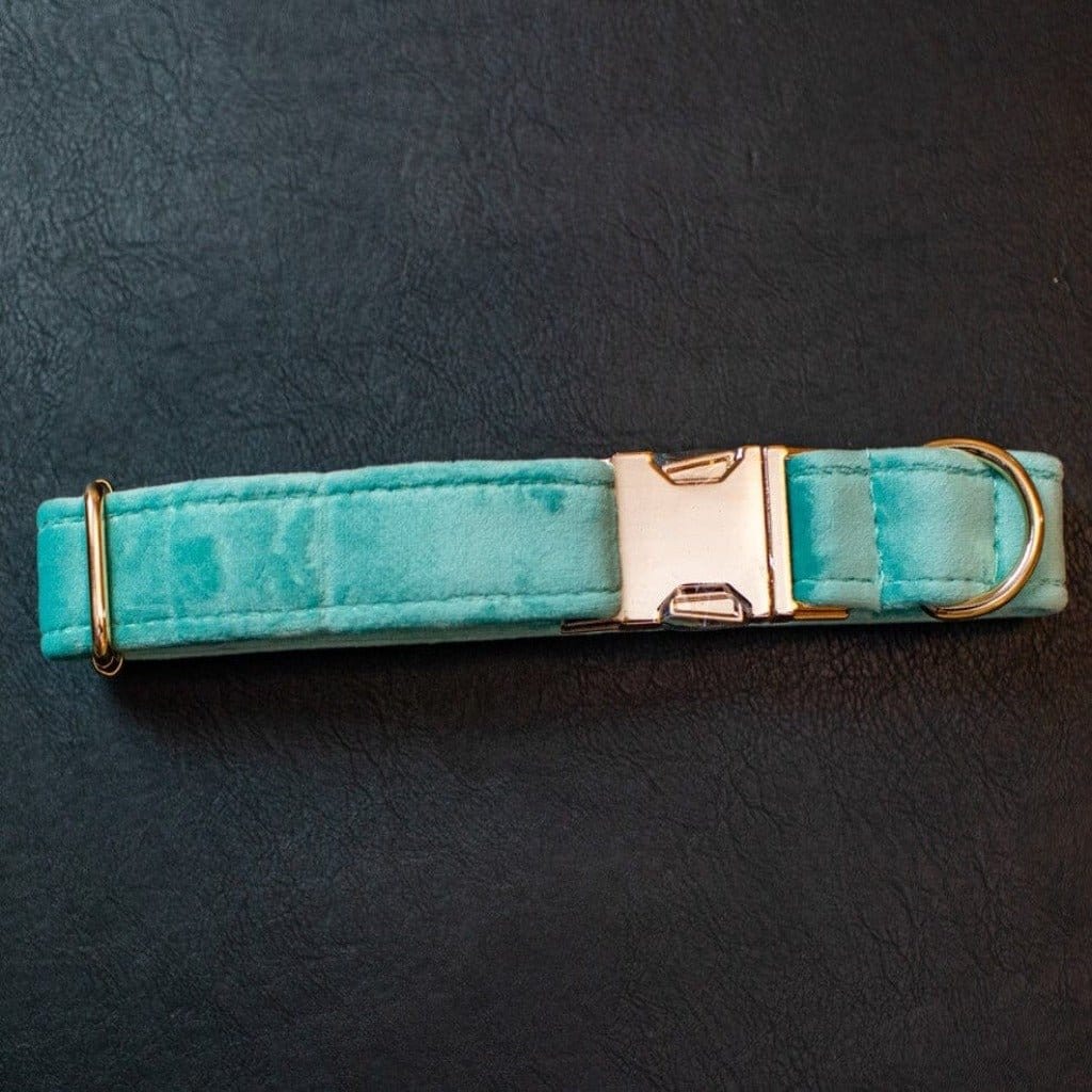 Tiffany Blue Gold Velvet Dog Collar - Charlie and Piper Gifts for Men Tiffany Blue Gold Velvet Dog Collar - Charlie and Piper Gifts for Men