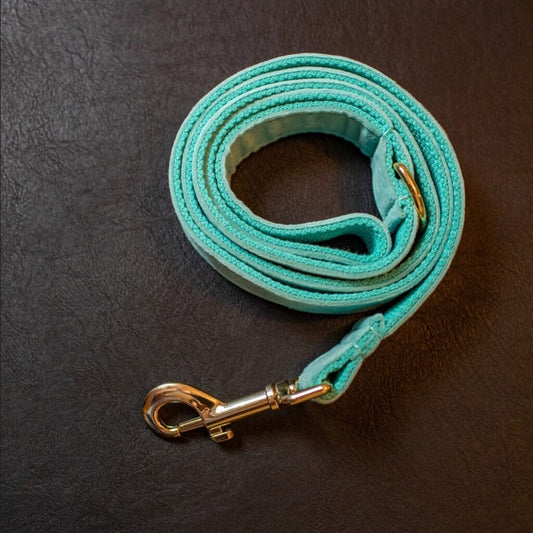 Tiffany Blue Gold Velvet Dog Lead Mens gifts Alibaba 