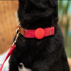 Red and Gold Velvet Dog Collar - Charlie and Piper Gifts for Men